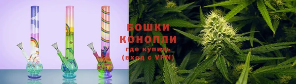 спайс Белокуриха