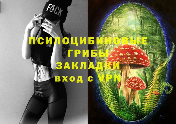прущий лед Белоозёрский